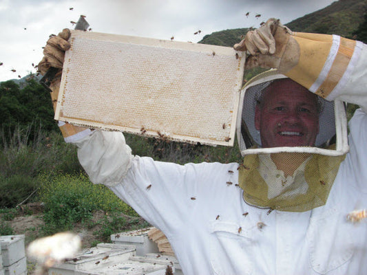 Beekeeping As A Hobby!