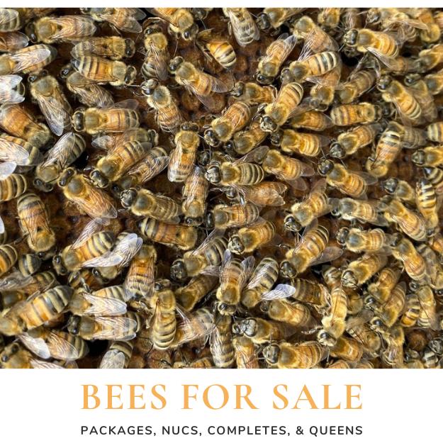 Bees for Sale