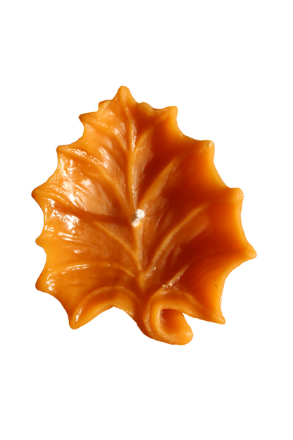 Beeswax Floating Leaf Candles