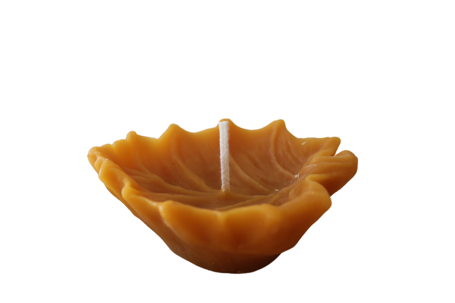 Beeswax Floating Leaf Candles