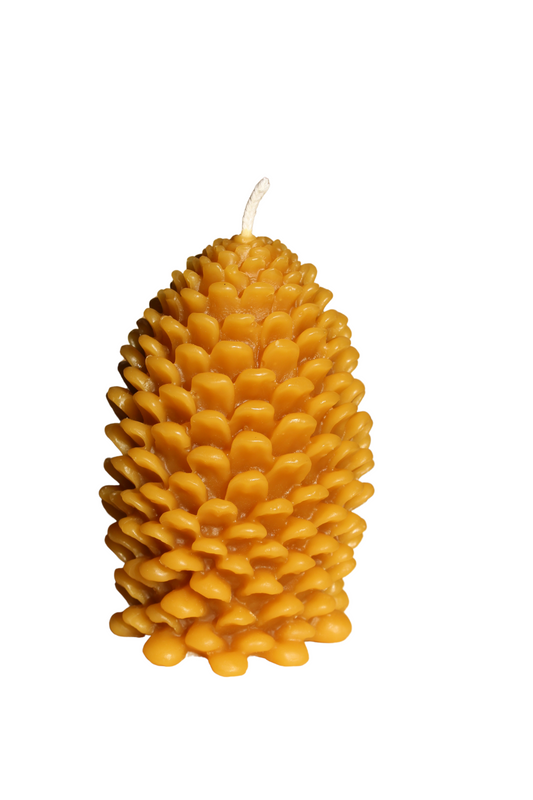 Big Pine Cone