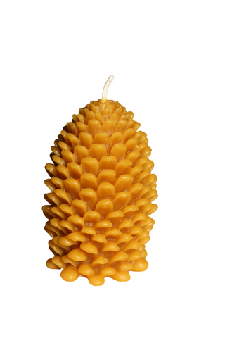 Big Pine Cone