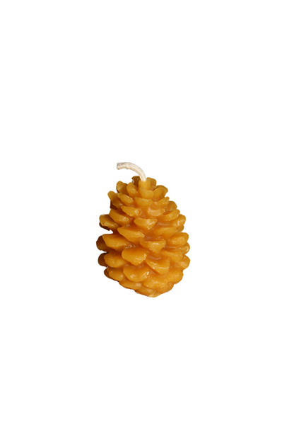 Pine Cone Set