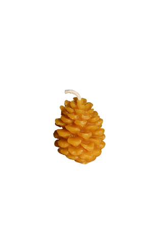 Short Pine Cone