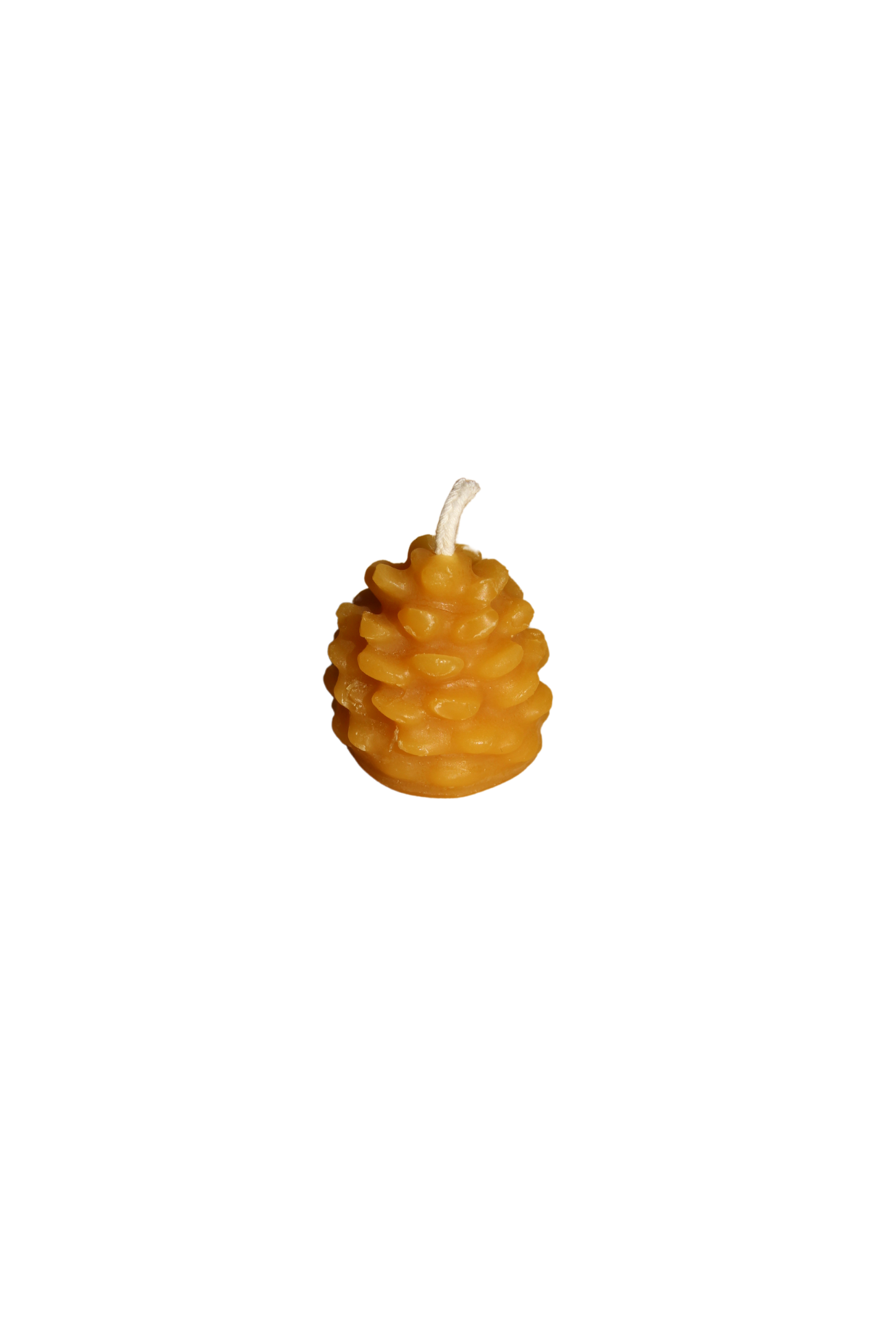 Mini Pine Cone