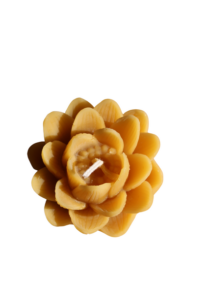 Beeswax Lotus