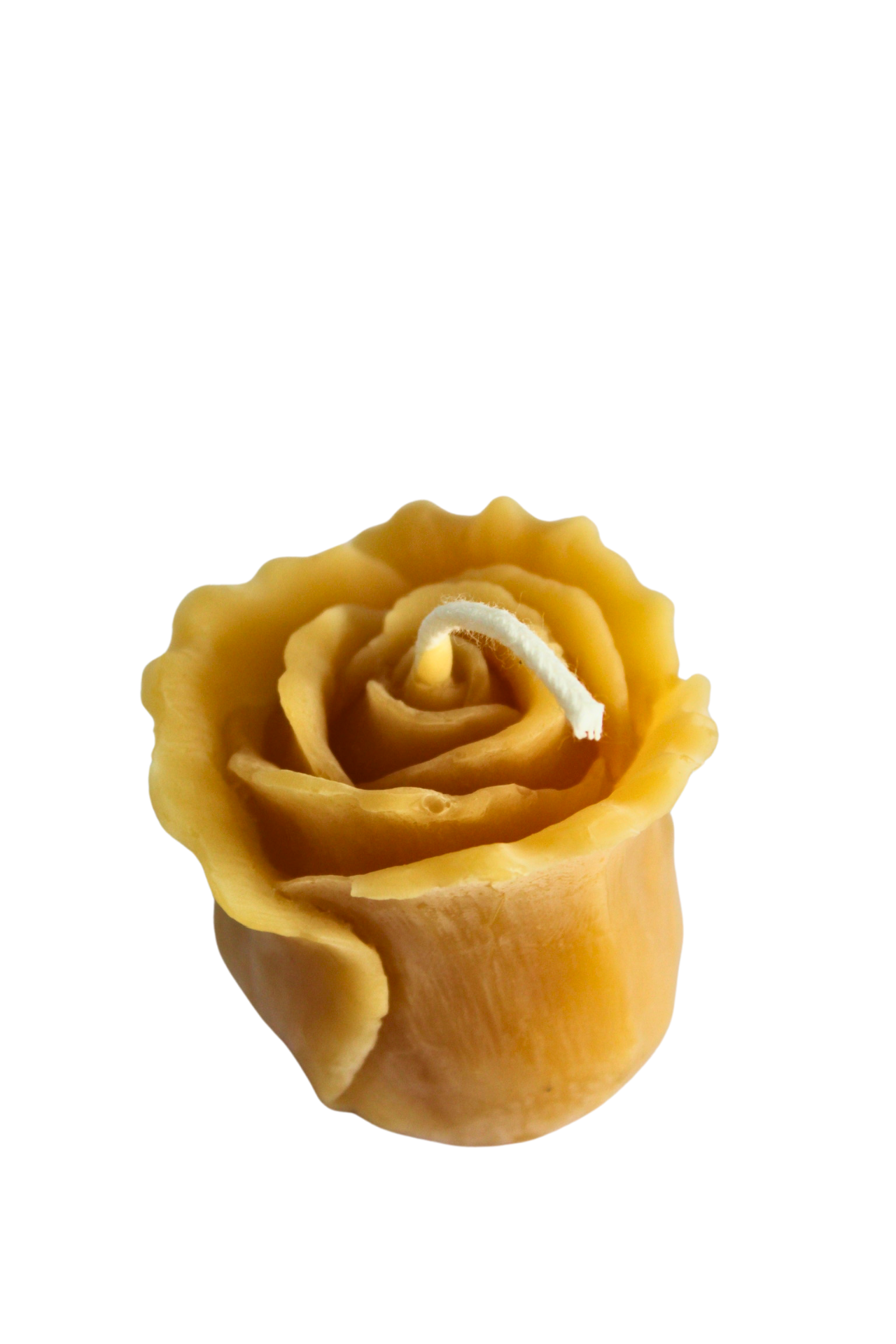 Beeswax Roses