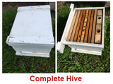 Bees Complete Hive: Pick-up location Santa Clarita