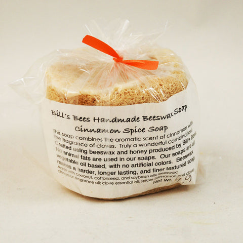 Cinnamon and Spice Soap Filled Loofah