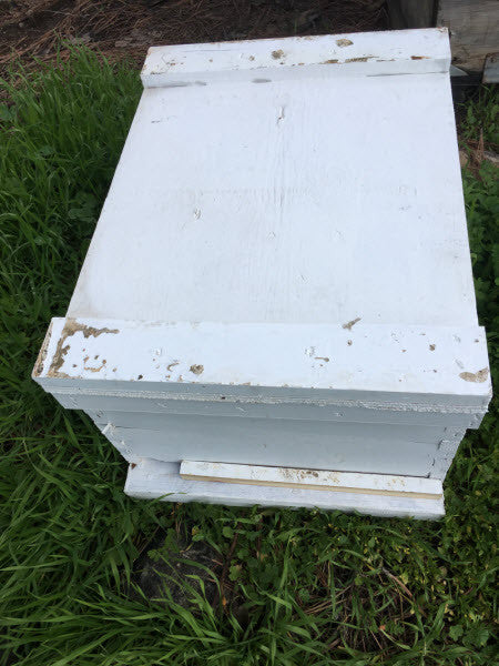 Bees Complete Hive: Pick-up Santa Clarita