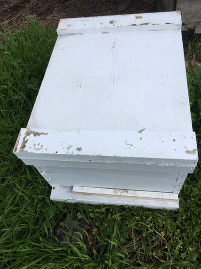 Bees Complete Hive: Pick-up Santa Clarita