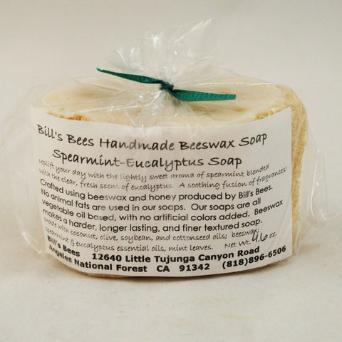 Spearmint and Eucalyptus Soap Filled Loofah