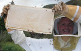 Bill's Bees Honeycomb Frame